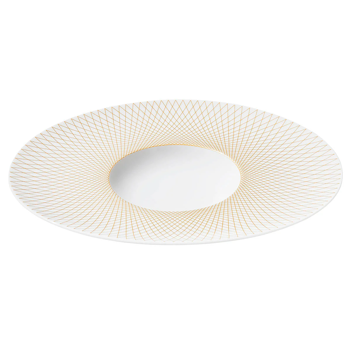 Degrenne Collection Graphique Classique Oro Oval Gourmet Plate 30x26 cm